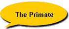 The Primate