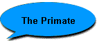 The Primate